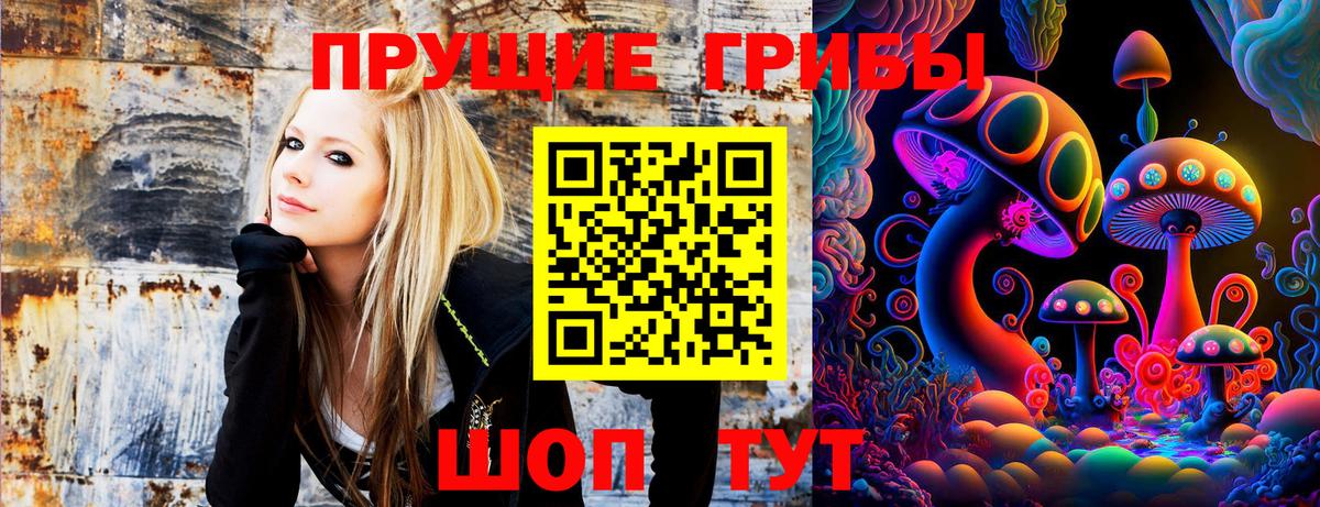 Псилоцибиновые грибы прущие грибы Азов