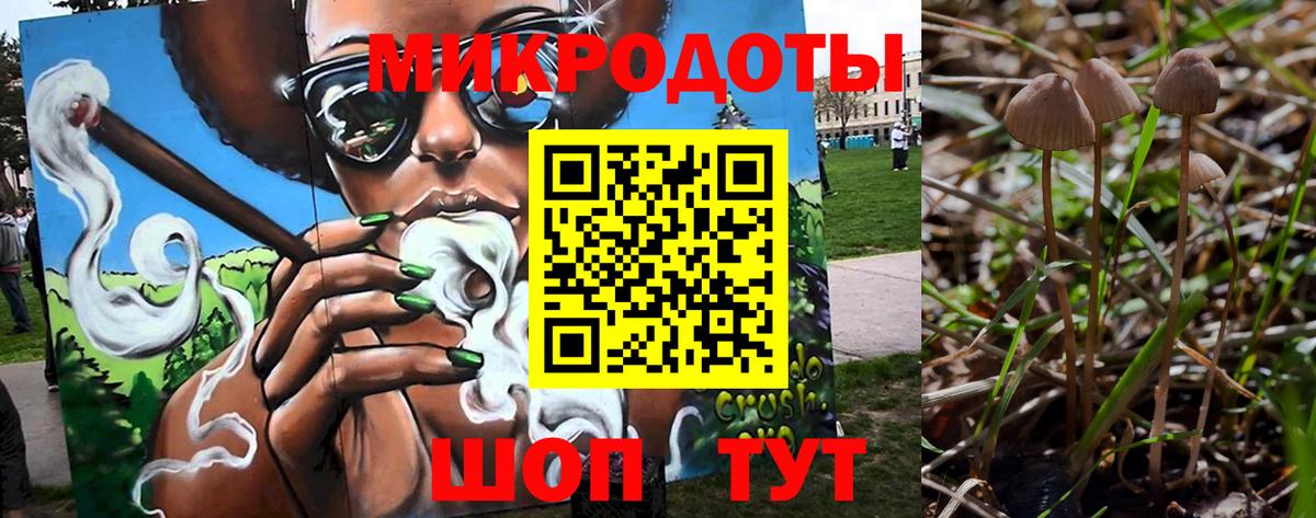 что такое наркотик  Вход с VPN  Азов  Галлюциногенные грибы Psilocybine cubensis 