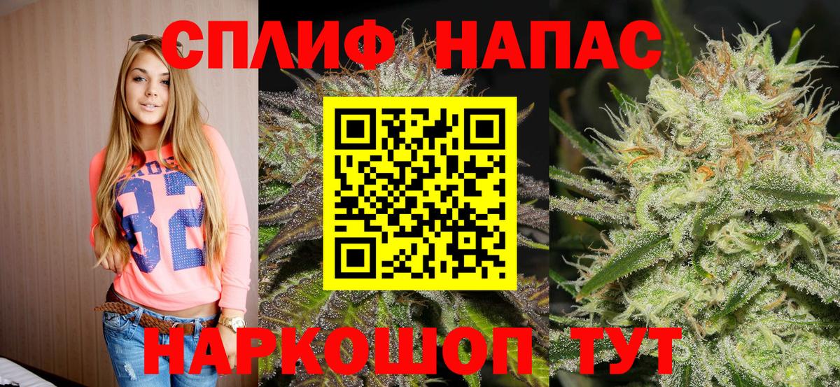 Бошки марихуана сатива  Вход с VPN  Азов  Бошки Шишки планчик  Шишки марихуана MAZAR 